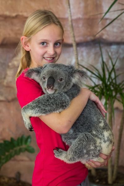 Kara holds a koala bear and stands, smiling at the camera.