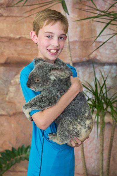 Tyler holds a koala bear and stands, smiling at the camera.