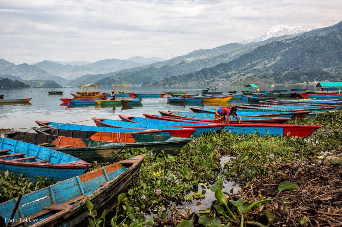 Do Roosters Crow In The Rain? Our Story From Pokhara, Nepal – Earth 