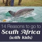 14 Reasons to go to South Africa (with kids)