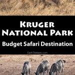 Kruger Budget Safari
