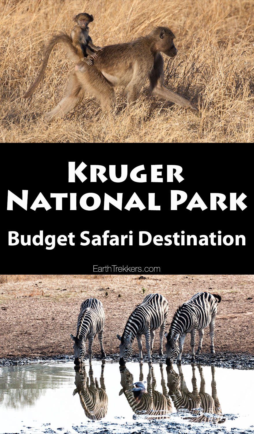 Kruger Budget Safari
