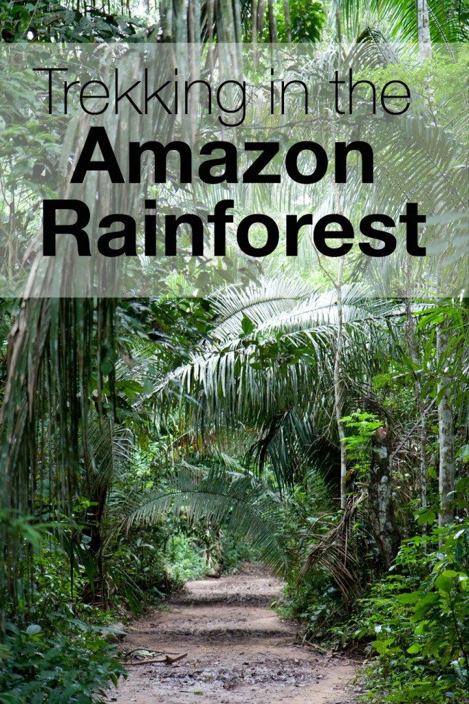 Trekking in the Amazon Rainforest | Earth Trekkers