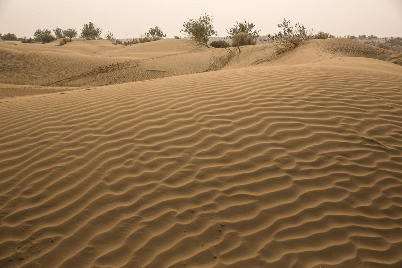 Desert Sand Earth Trekkers