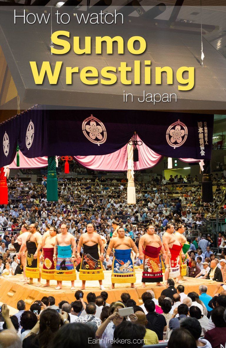 How To Watch Sumo Wrestling in Japan Earth Trekkers