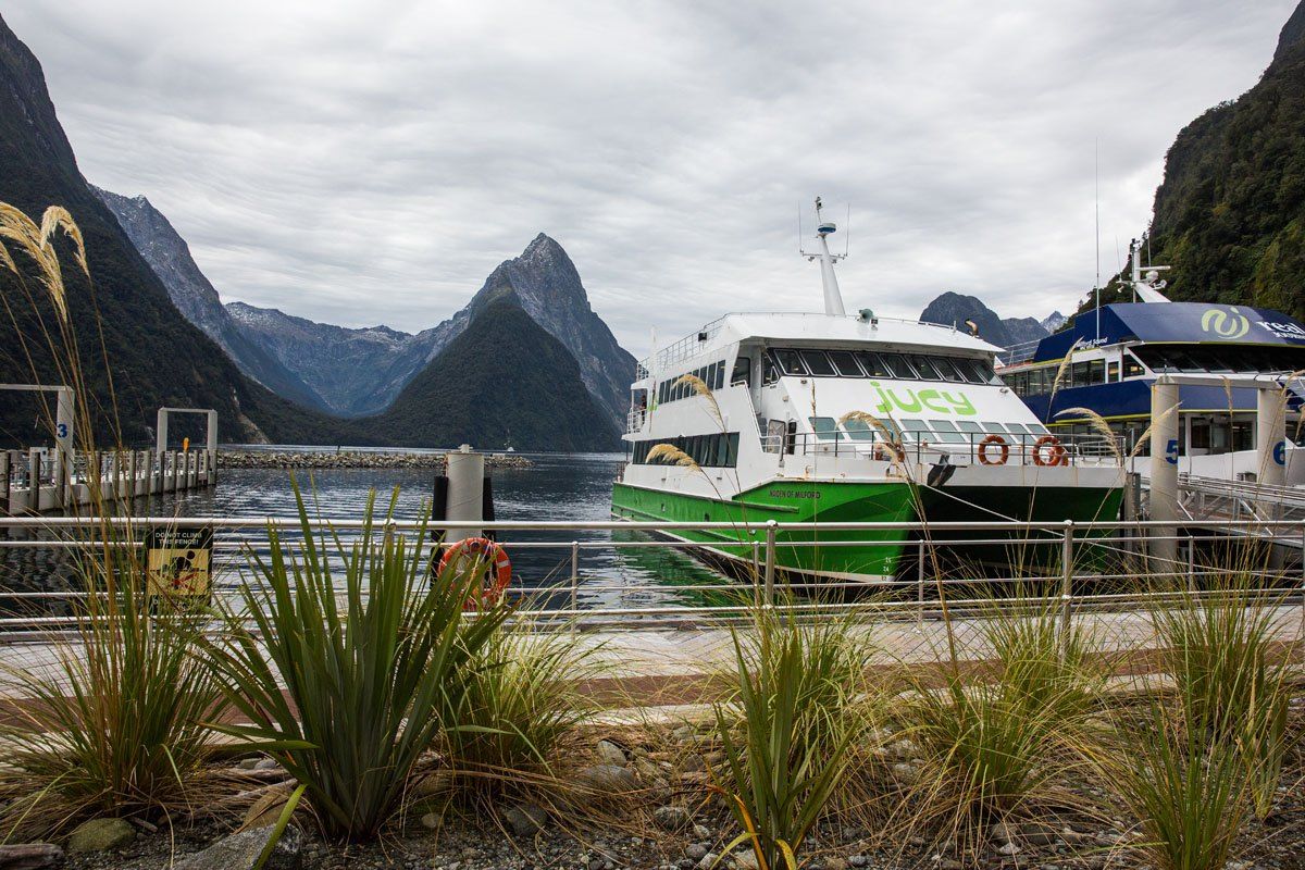 Milford Sound with Jucy