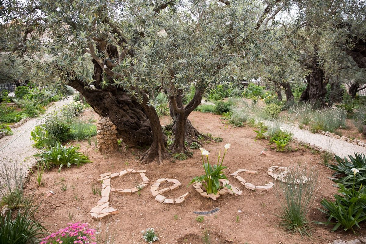 Peace Gethsemane Garden