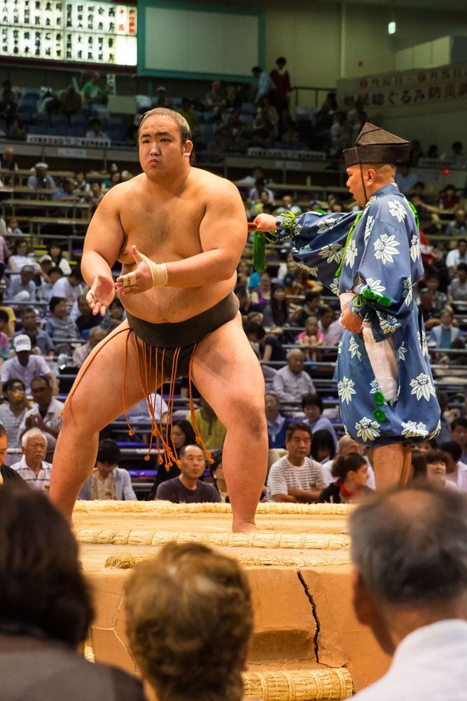 sumo wrestler gear