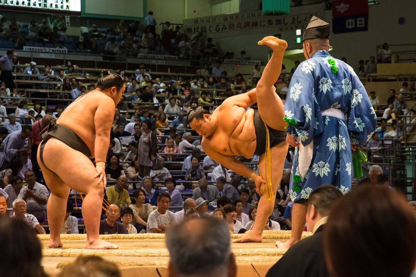 How To Watch Sumo Wrestling In Japan – Earth Trekkers, 43% OFF