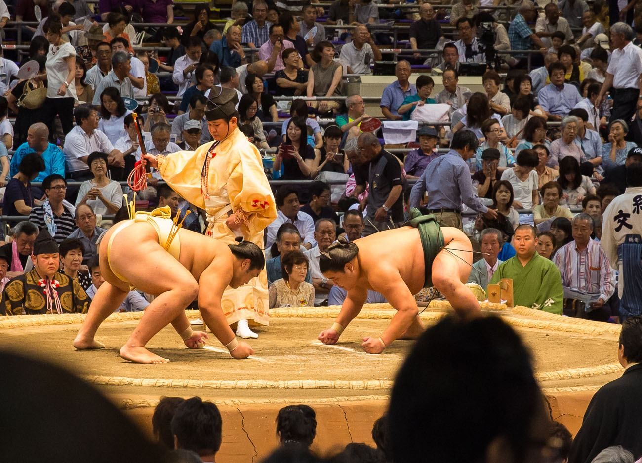 sumo wrestling gear