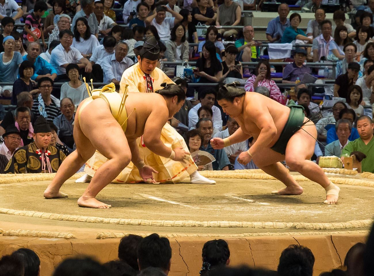 Sumo Wrestling Progression 2