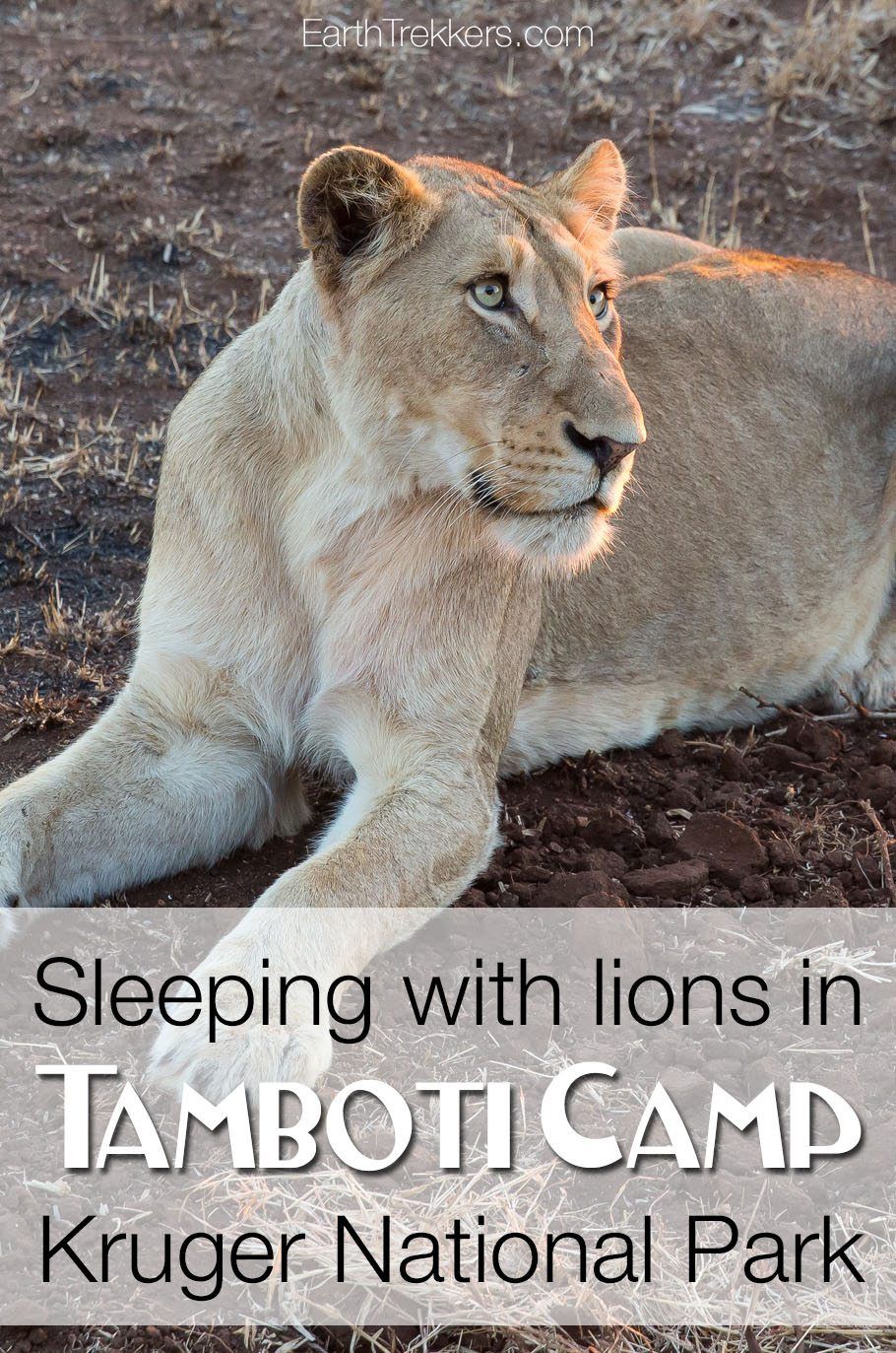 Tamboti Camp Kruger National Park