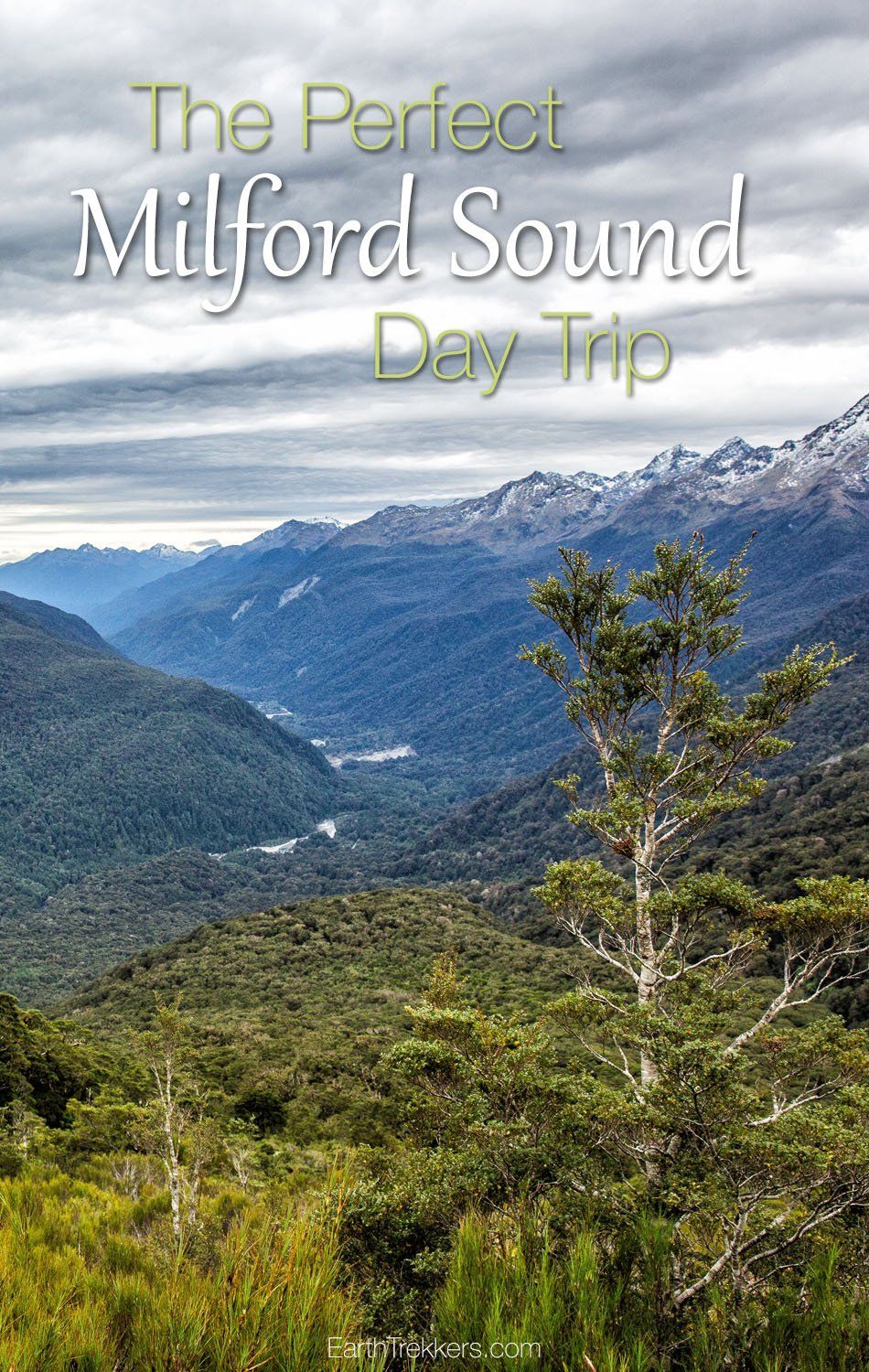 The Perfect Milford Sound Day Trip
