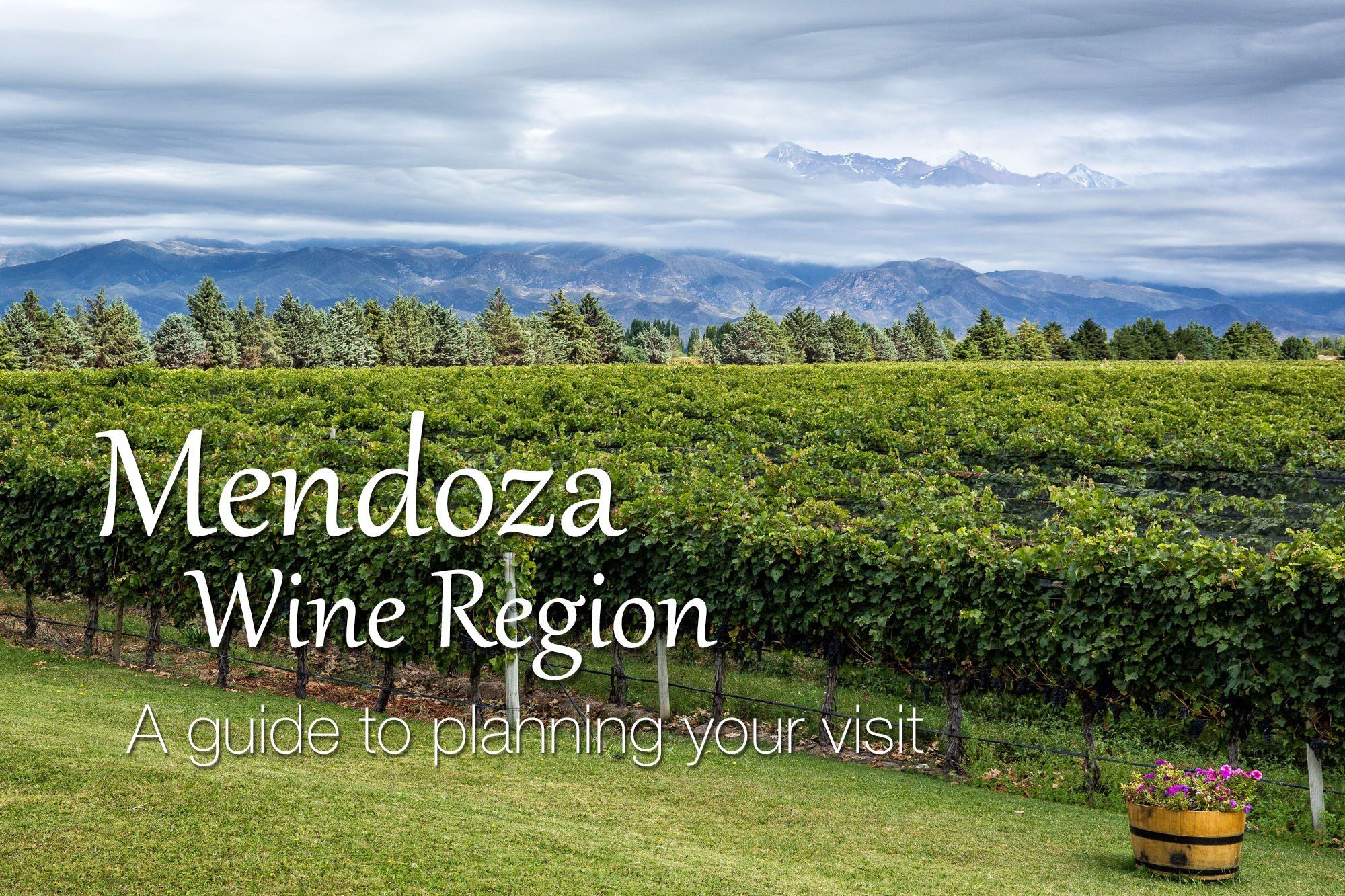 Mendoza Wine Region Guide .optimal 