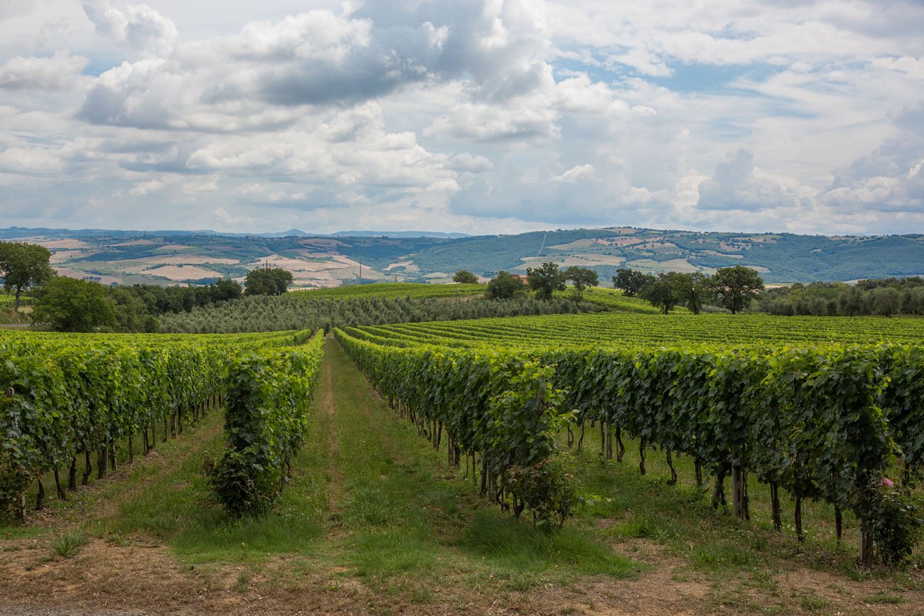 Touring the Hill Towns of Tuscany | Earth Trekkers