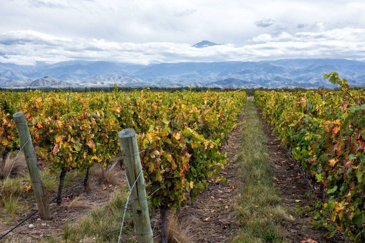 Mendoza Itinerary: How Much Time Should You Spend Here? – Earth Trekkers