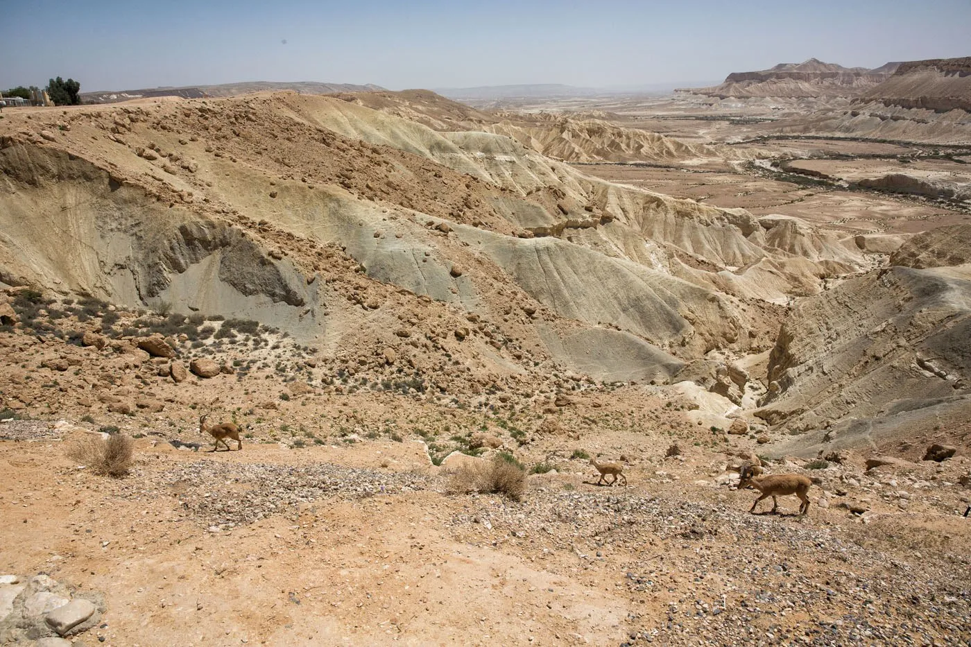 Negev Desert Israel and Jordan itinerary
