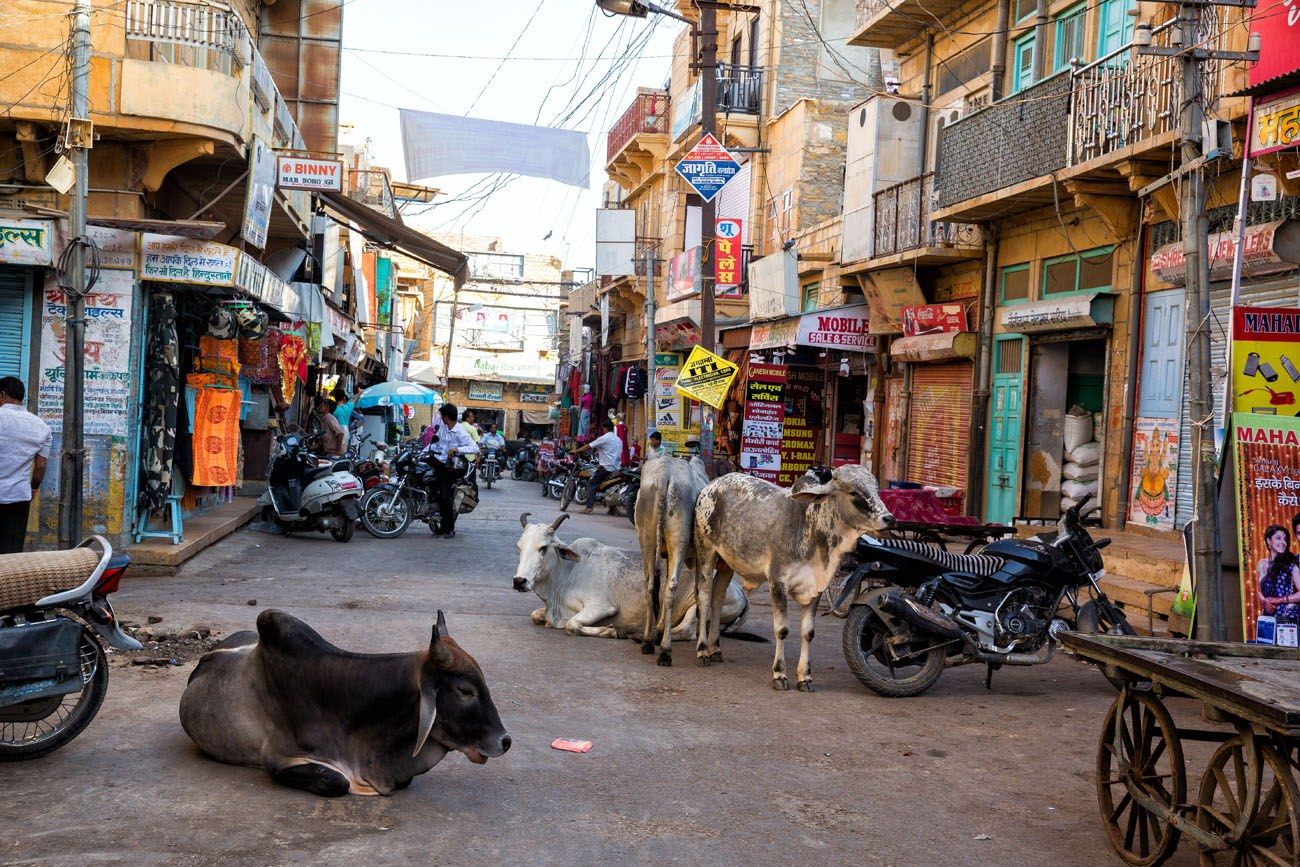 Jaisalmer street