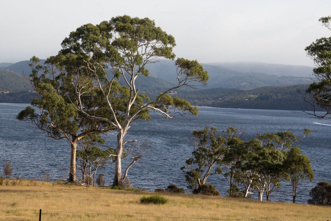 6 MustHave Experiences on Bruny Island, Tasmania Earth Trekkers