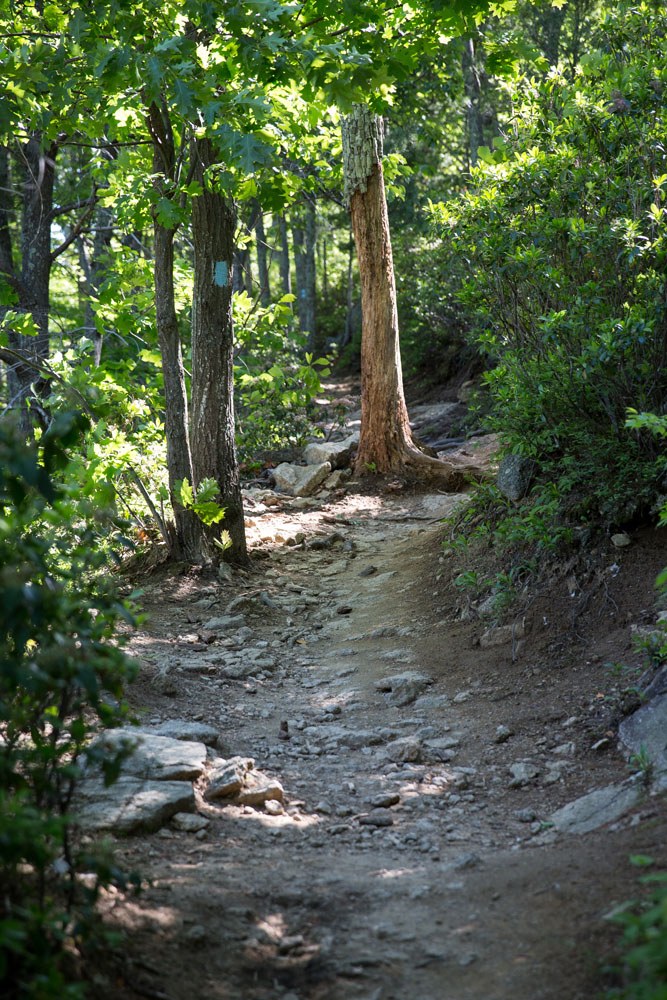 Hiking Old Rag in Shenandoah National Park (with Kids) | Earth Trekkers