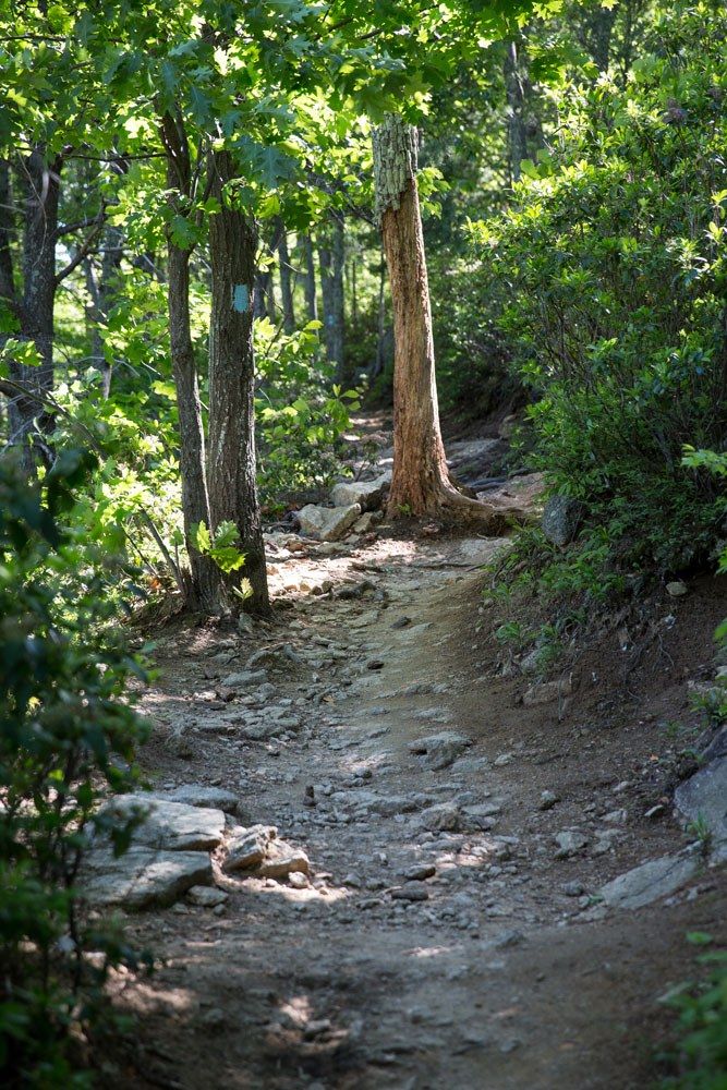 Old Rag Mountain via Weakley Hollow Fire Road, Virginia - 443 Reviews, Map