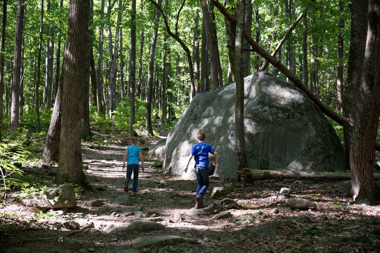 Old Rag Mountain via Weakley Hollow Fire Road, Virginia - 443 Reviews, Map