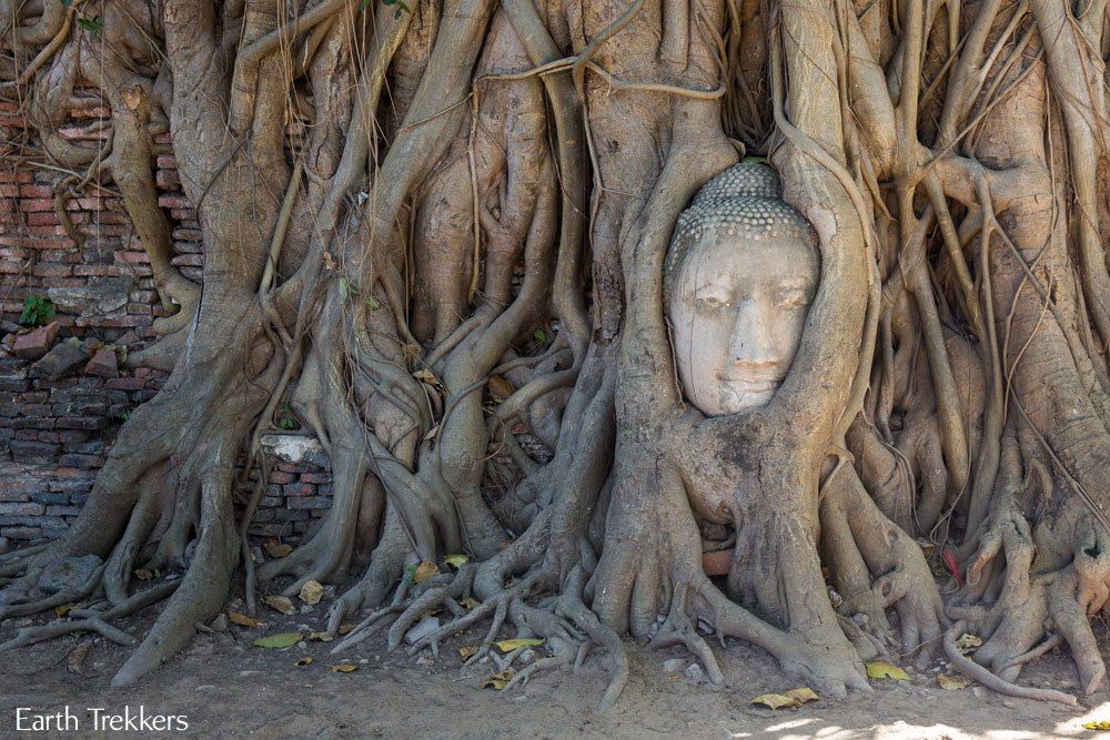Buddha Head Ayutthaya