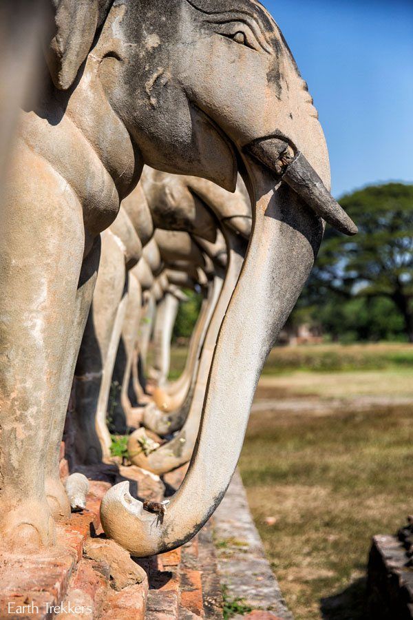 Elephants Thailand