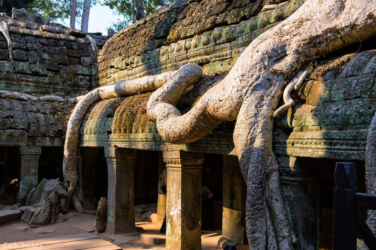 Ta Prohm – Siem Reap, Cambodia - Atlas Obscura