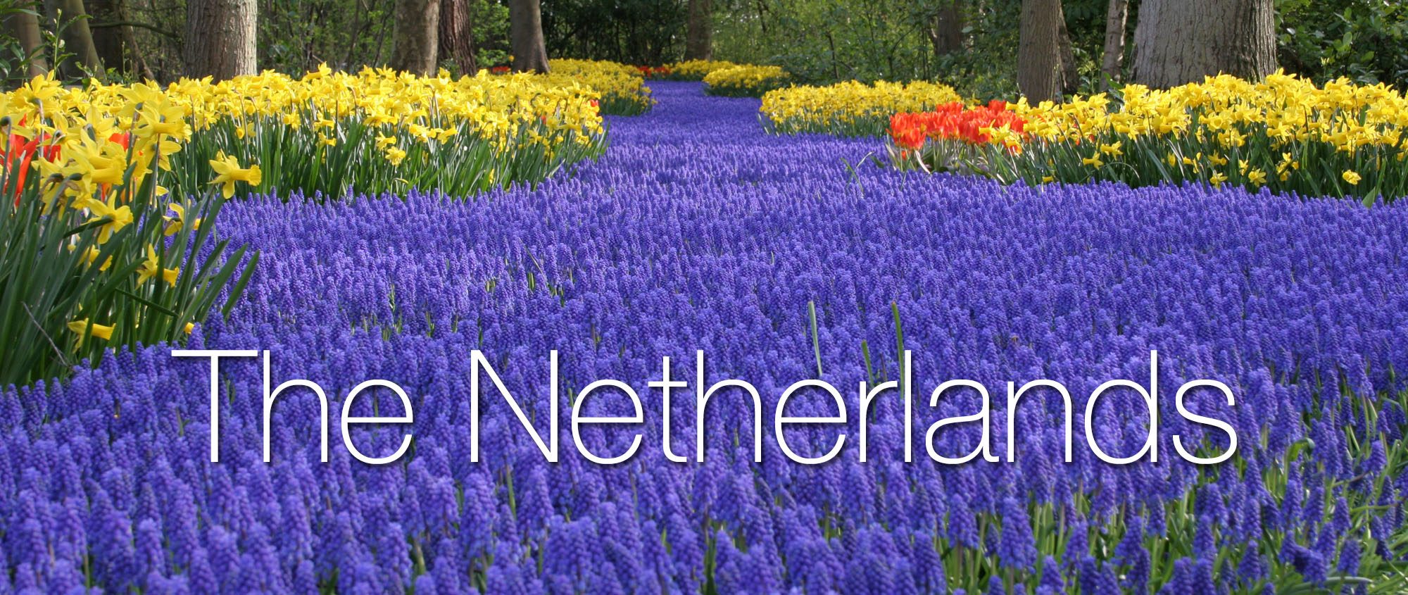 netherlands-earth-trekkers