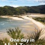 Abel Tasman One Day Itinerary