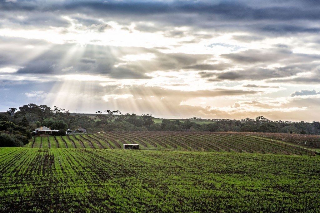 Wine Tasting in Barossa Valley and McLaren Vale: Our Experience in 2015 ...