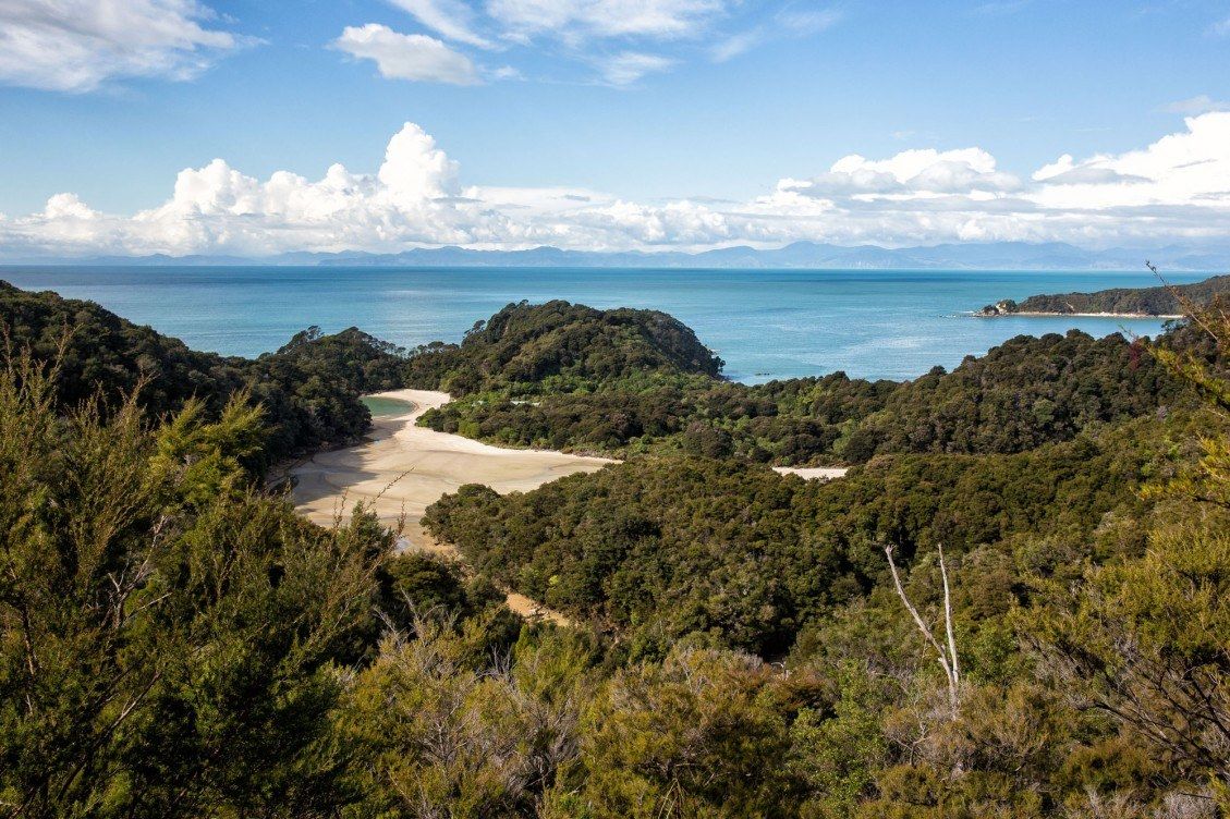 One Day in Abel Tasman National Park | Earth Trekkers