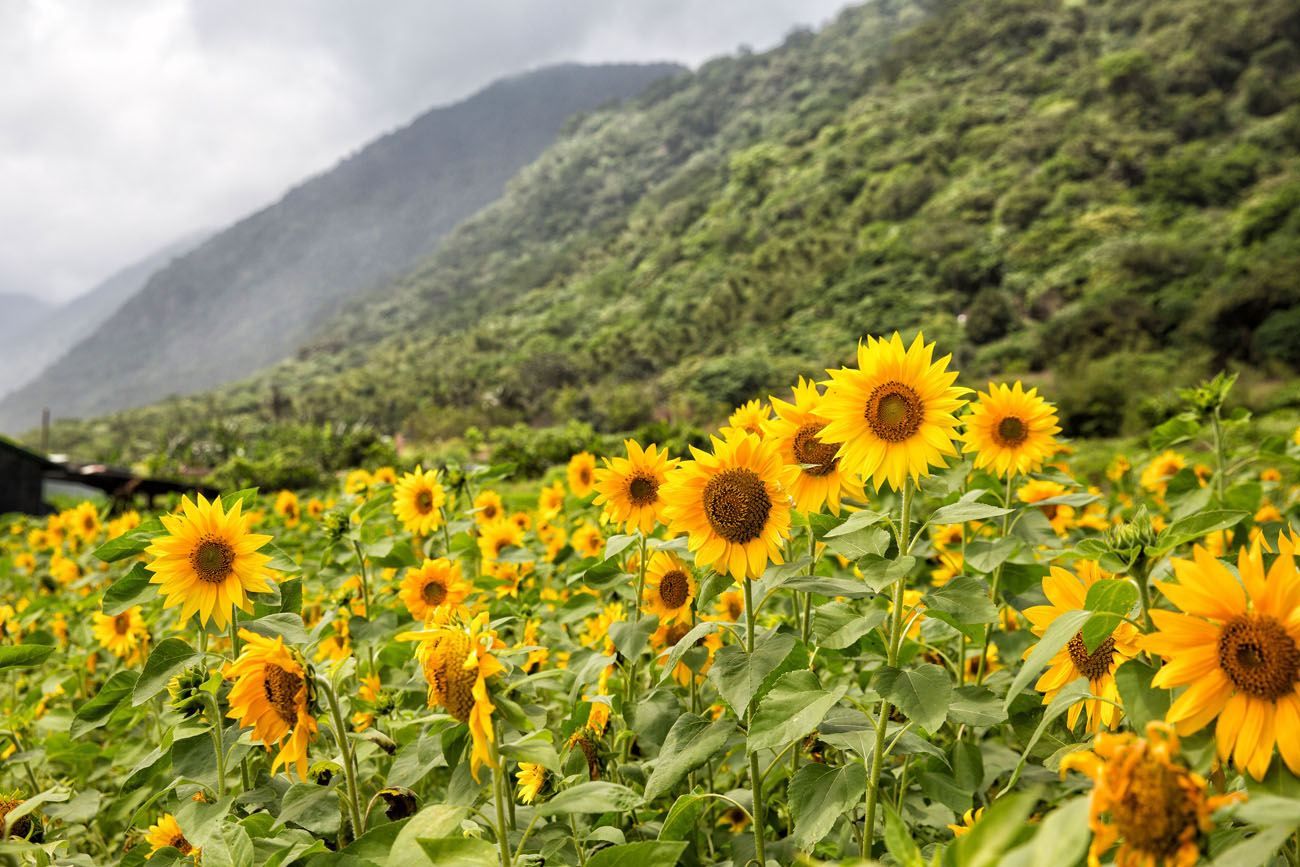 Ten Interesting Facts About Taiwan You Probably Didn't Know | Earth ...