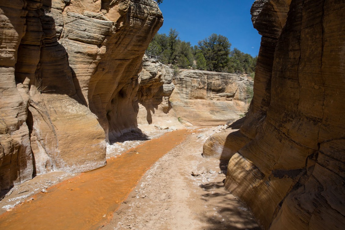 willis creek slot canyon flesh water