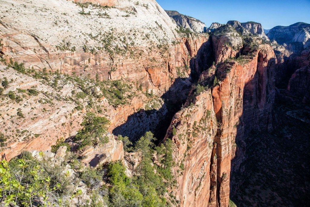 Angels Landing Survival Guide: Things to Know Before You Go – United
