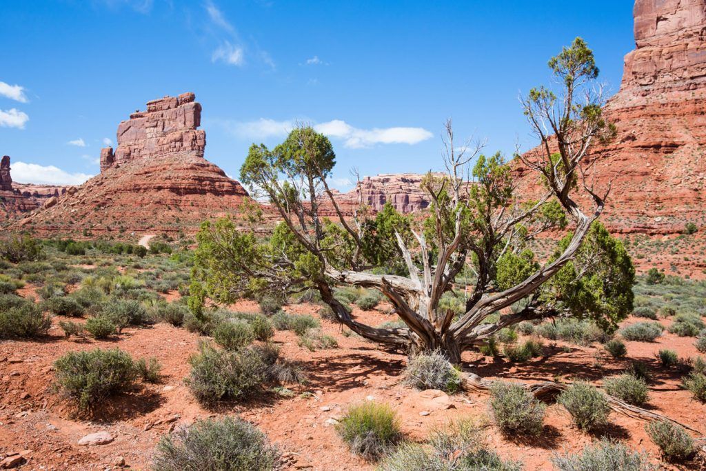 How to Visit the Valley of the Gods in Utah – Earth Trekkers