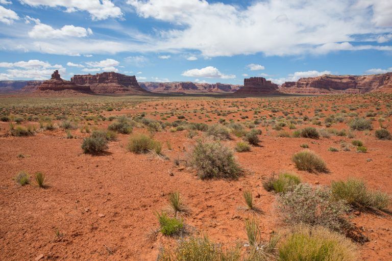 How to Visit the Valley of the Gods in Utah – Earth Trekkers