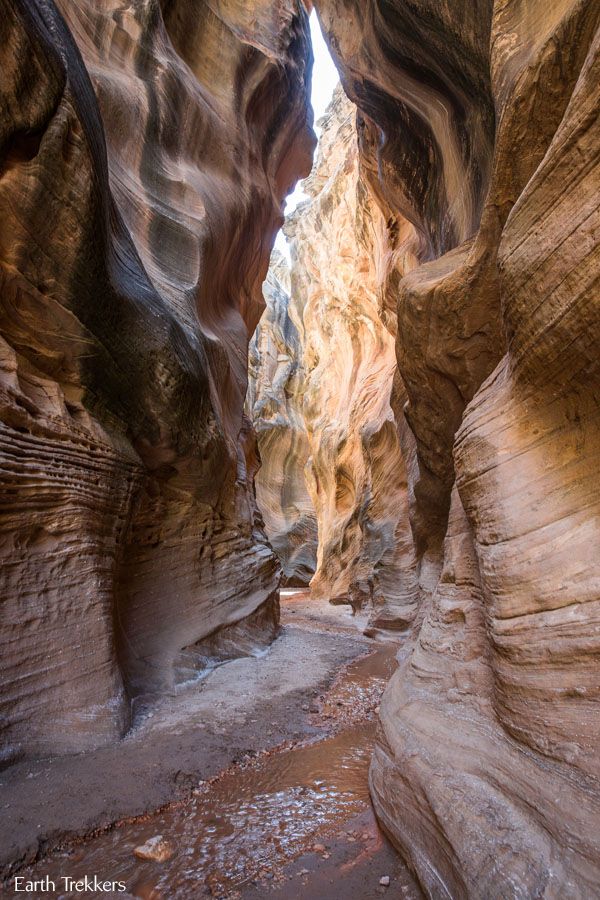 Willis Creek Slot Canyon Trail Utah