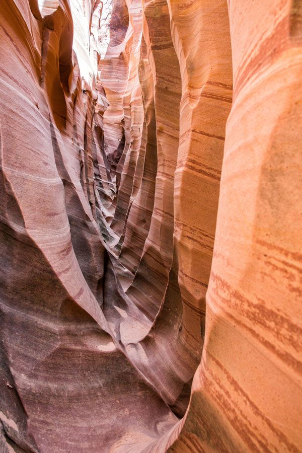 Tunnel slot canyon escalante