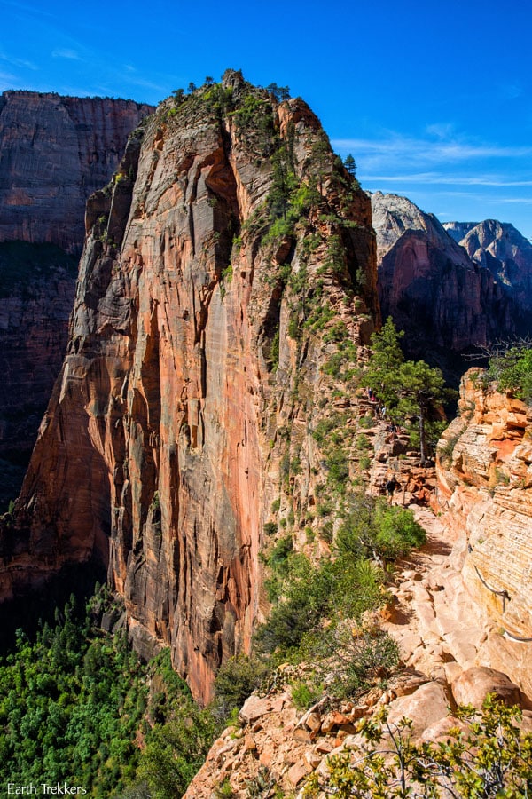 Angels Landing Survival Guide: Things to Know Before You Go | Earth ...