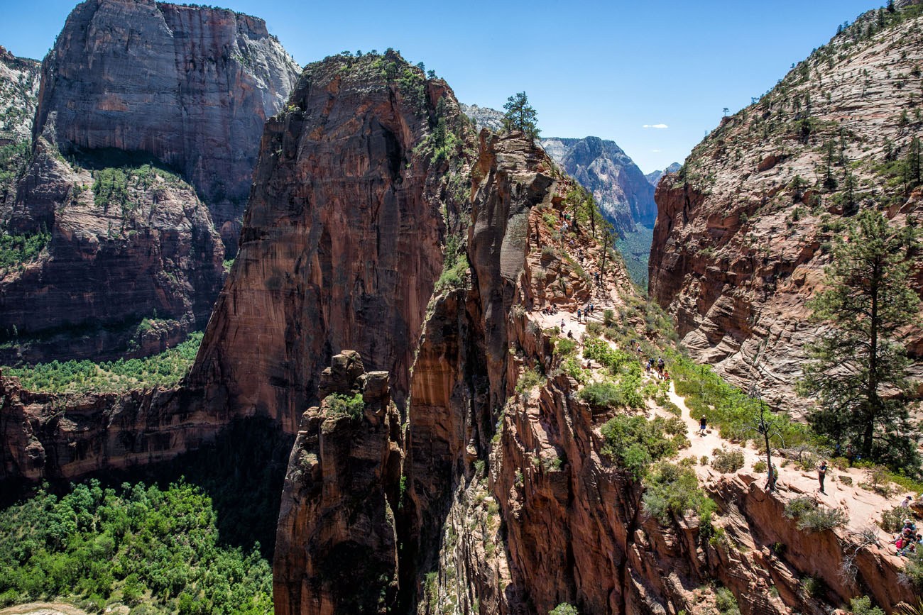 Angels Landing Survival Guide: Things to Know Before You Go | Earth Trekkers