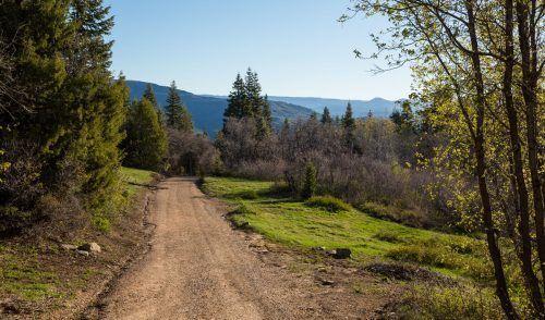 How to Day Hike the West Rim Trail in Zion National Park – Earth Trekkers