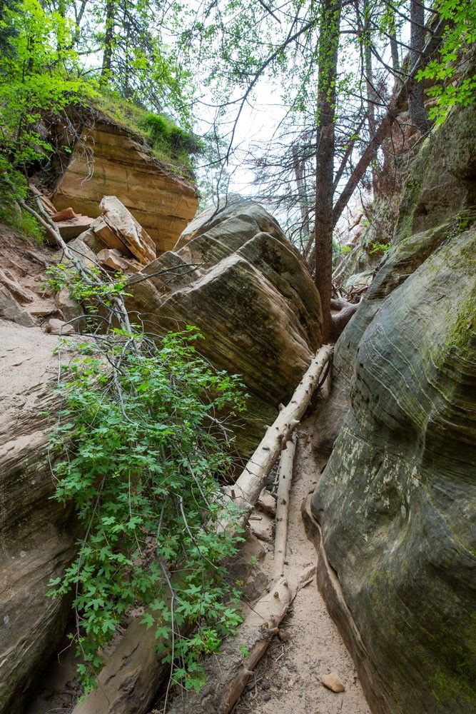 Hidden Canyon Obstacle