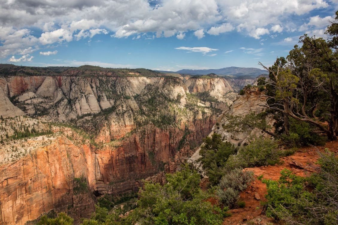 Hiking to Observation Point in Zion National Park Earth Trekkers