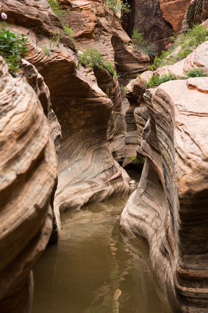 slot canyon hikes in zion national park