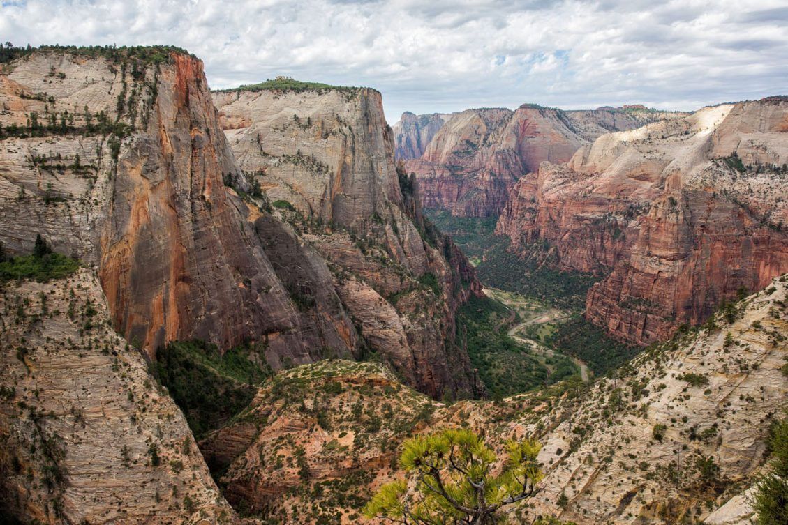 Hiking to Observation Point in Zion National Park – Earth Trekkers