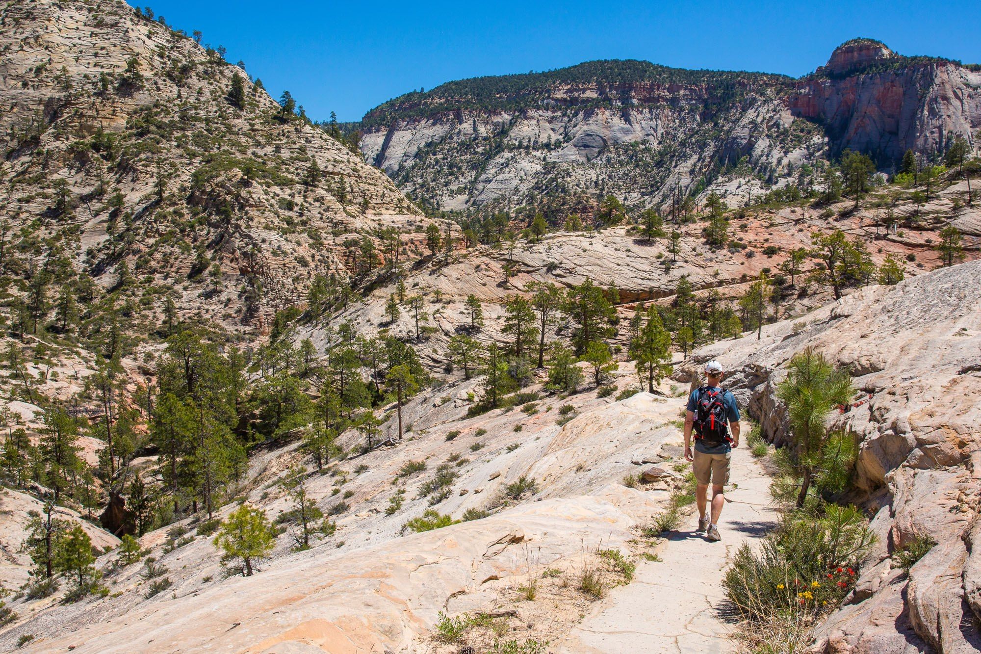 How To Day Hike The West Rim Trail In Zion National Park Earth Trekkers 