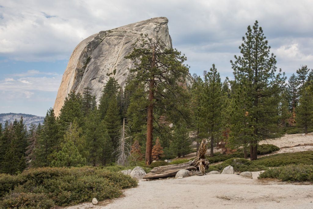 How to Hike Half Dome in Yosemite, A StepbyStep Guide Earth Trekkers