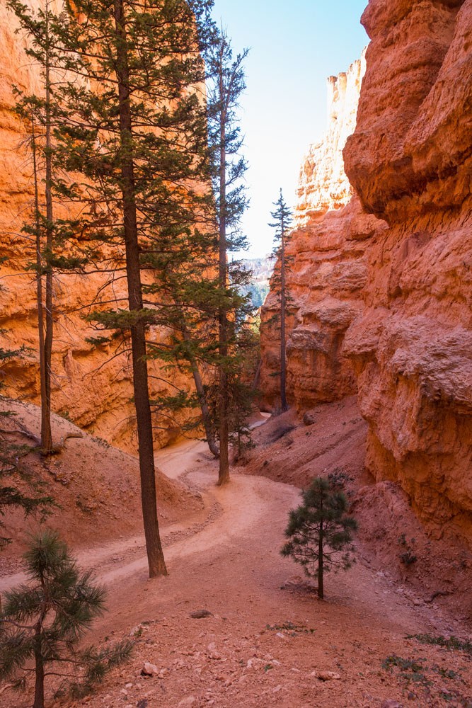 Hiking Bryce Canyon: Queens Garden And Navajo Loop Trails | Earth Trekkers